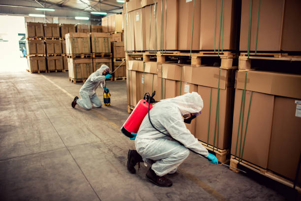 Wildlife Control Services in Mount Hore, WI