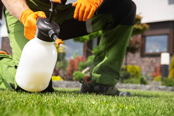 Reliable Mount Hore, WI Pest Control Solutions