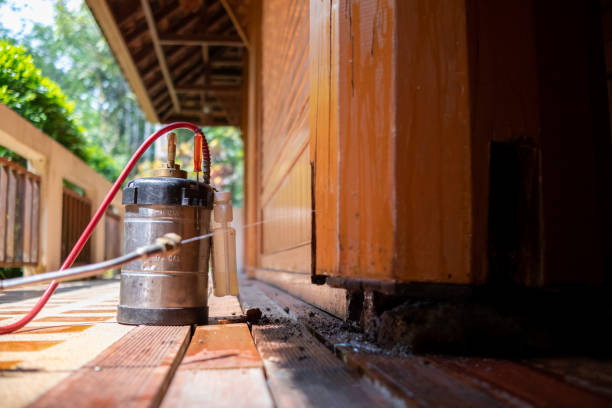 Best Commercial Pest Control Services  in Mount Hore, WI