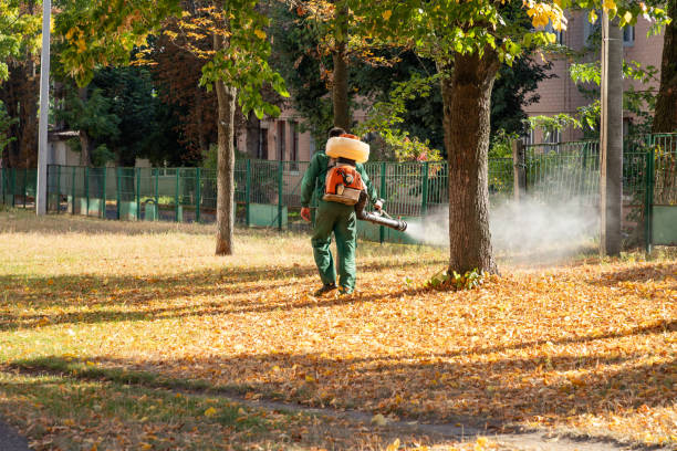 Best Rodent Control Near Me  in Mount Hore, WI