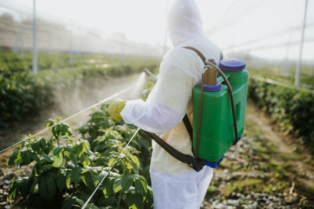  Mount Hore, WI Pest Control Pros